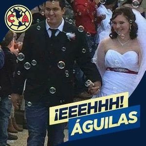 Meet your Posher, Irving